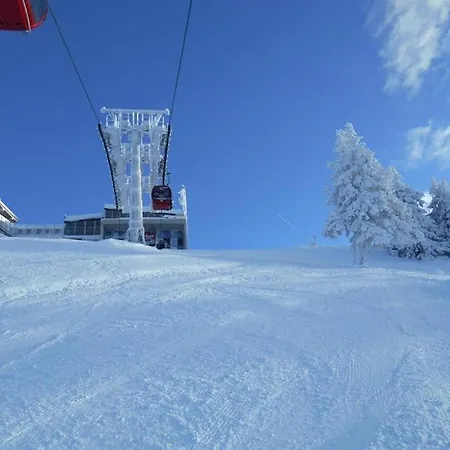 ホームステイ Schneeberghof